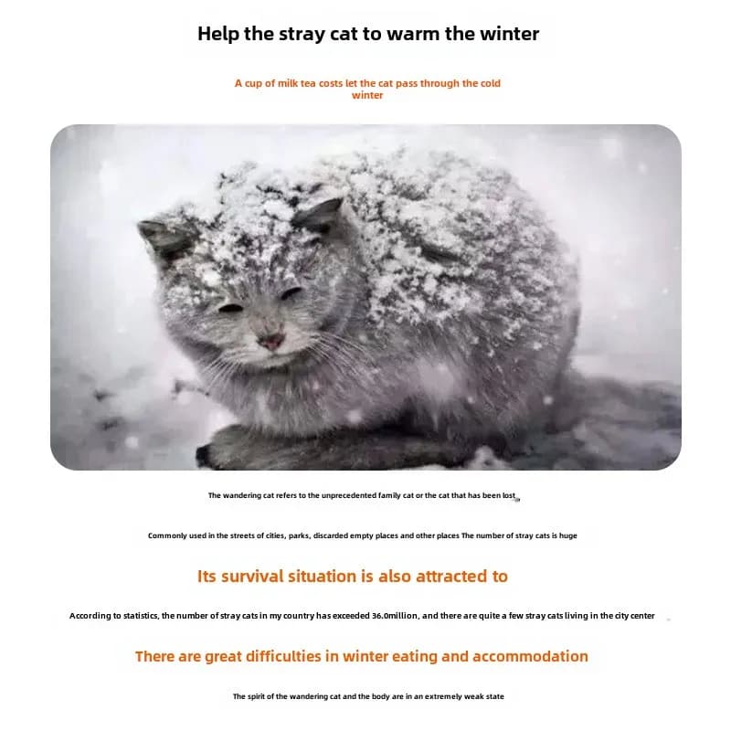 Składany wodoodporny ciepły domek dla bezpańskich zwierząt 🐾